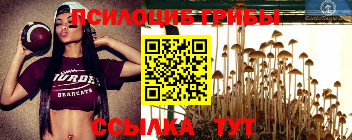 Советская Гавань  магазин  наркотиков  Вход с VPN  Галлюциногенные грибы Cubensis 